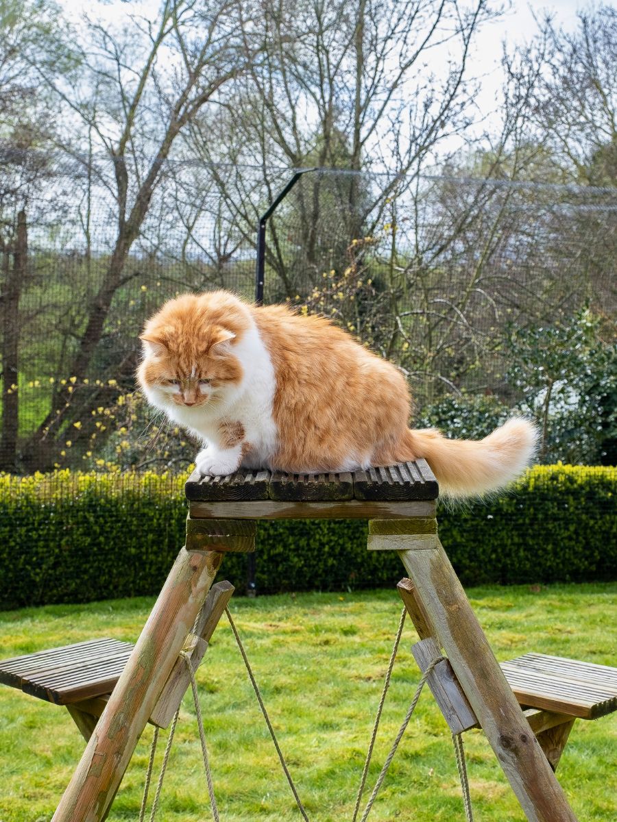ProtectaPet® Bodenmontage-Set für Katzengehege (Rasen)