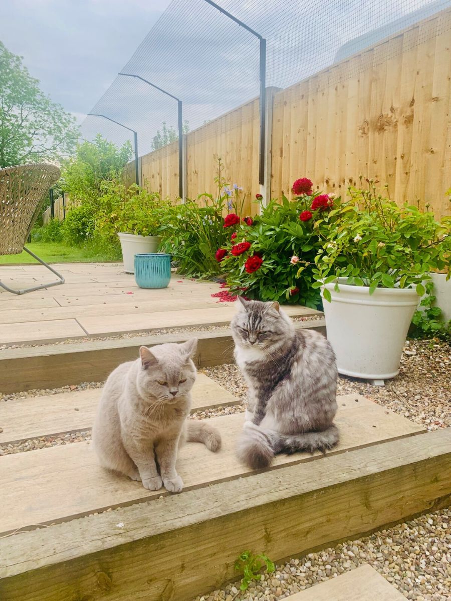 ProtectaPet® Pfosten für Katzenzaun-Systeme