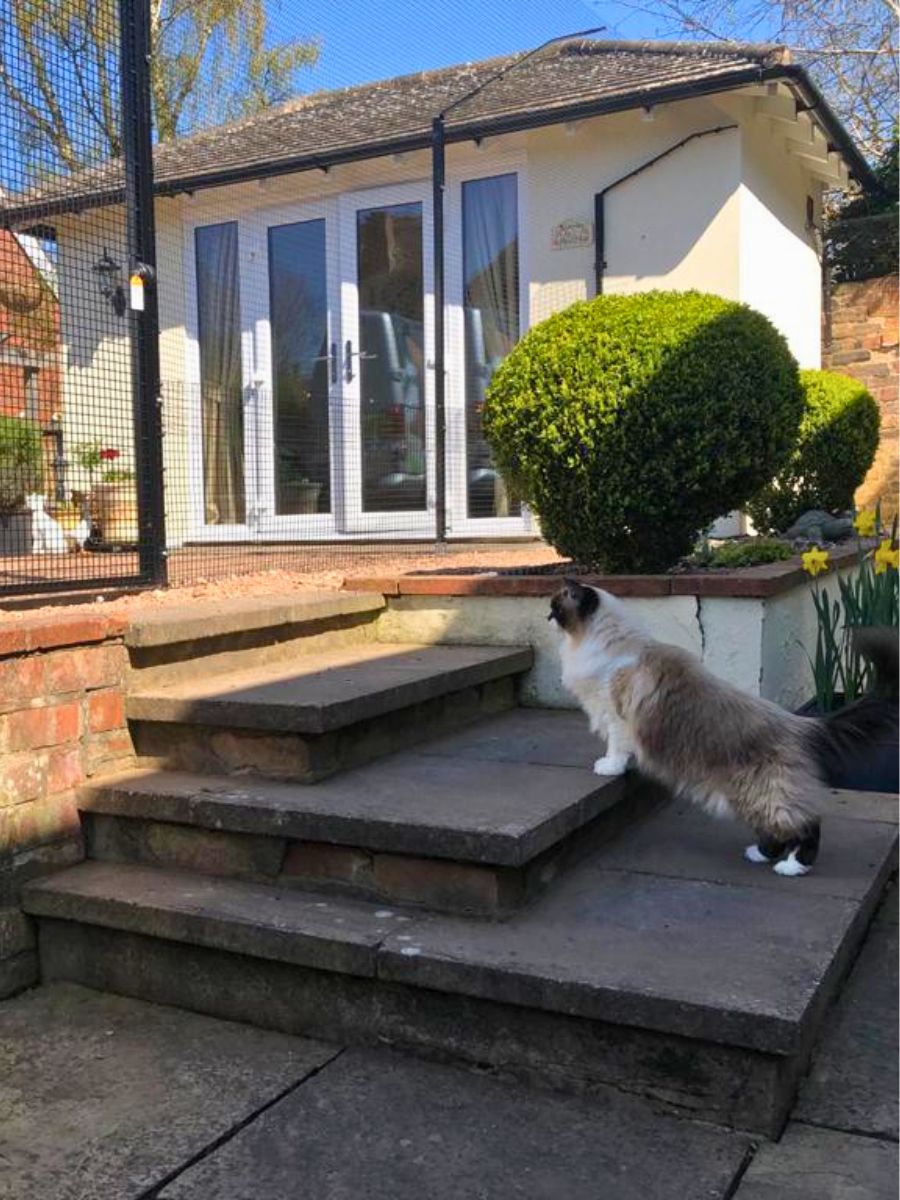 ProtectaPet® Befestigungswinkel für Katzengehege-Pfosten