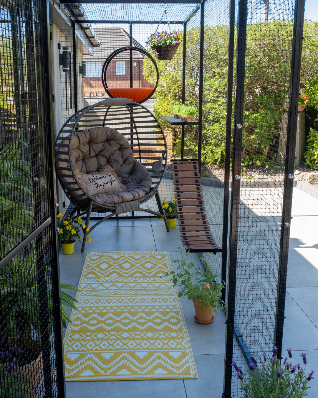ProtectaPet® Complete Climber Enrichment Package