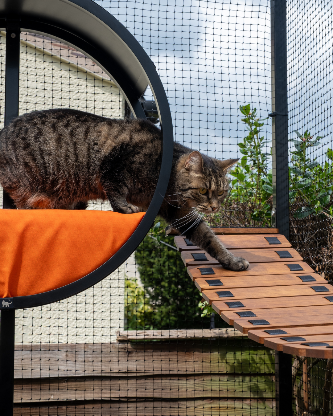 ProtectaPet® Complete Climber Enrichment Package