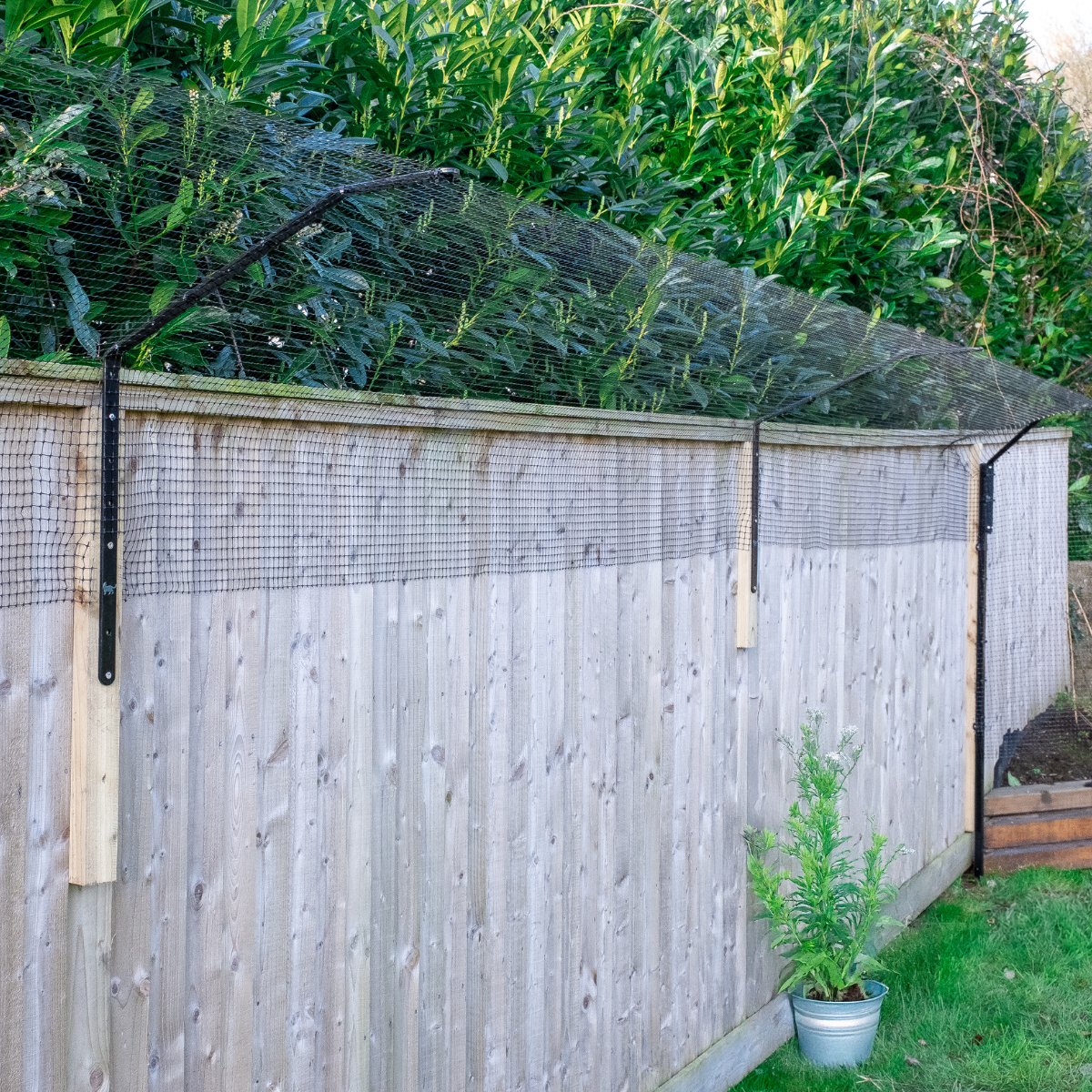 1.6m+ Fence Cat Barrier