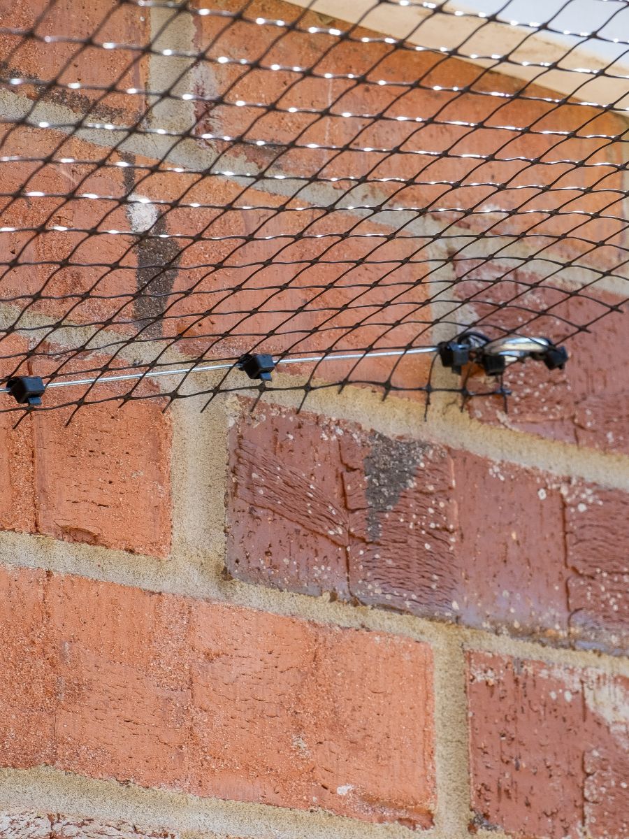ProtectaPet® Schroefogen