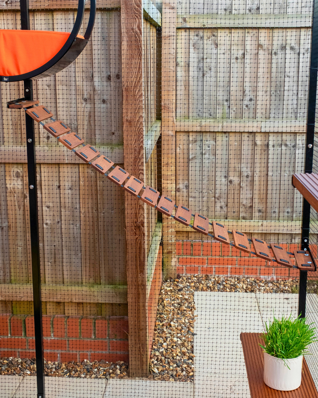 Cat Bridge Outdoors