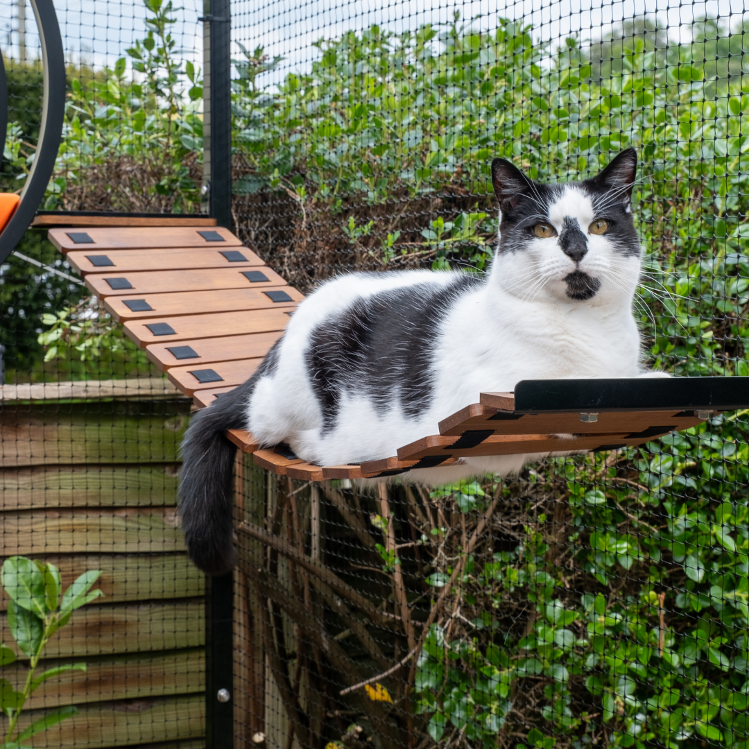 ProtectaPet® Leo Link Cat Bridge (1.2m)