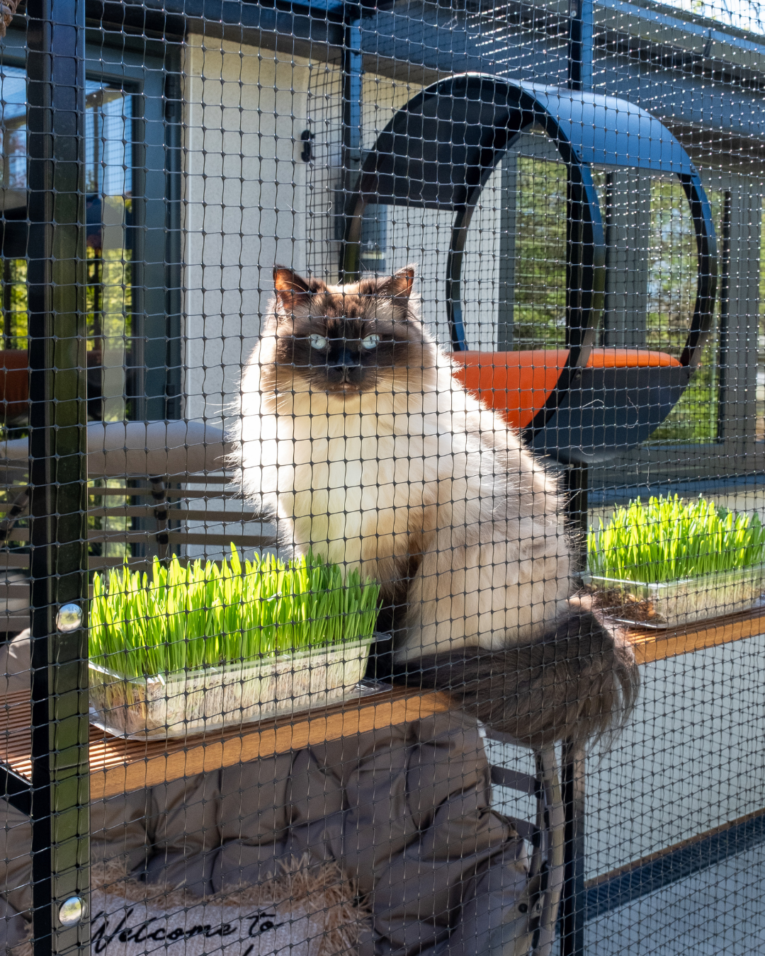 ProtectaPet® Lola Landing Cat Shelf (1.2m)