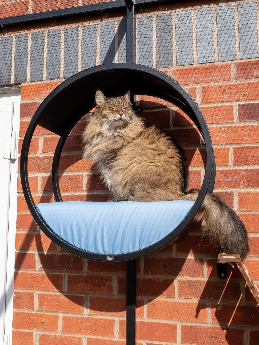 ProtectaPet® Catio Enrichment Post (2.4m)
