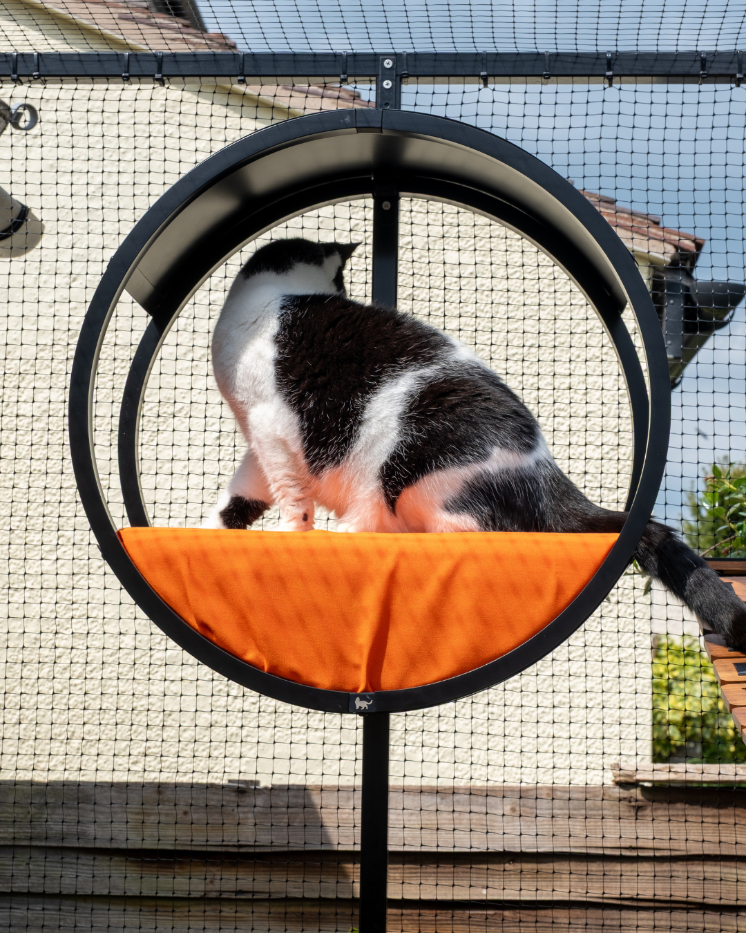 ProtectaPet® Luna Lookout Cat Bed