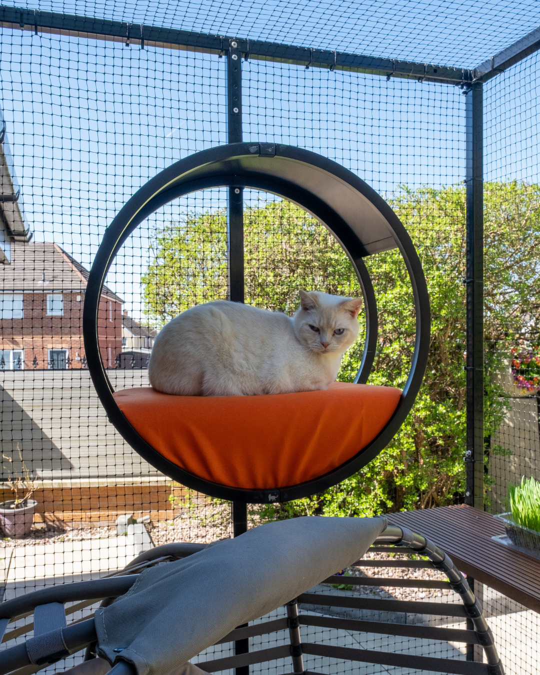 ProtectaPet® Luna Lookout Cat Bed