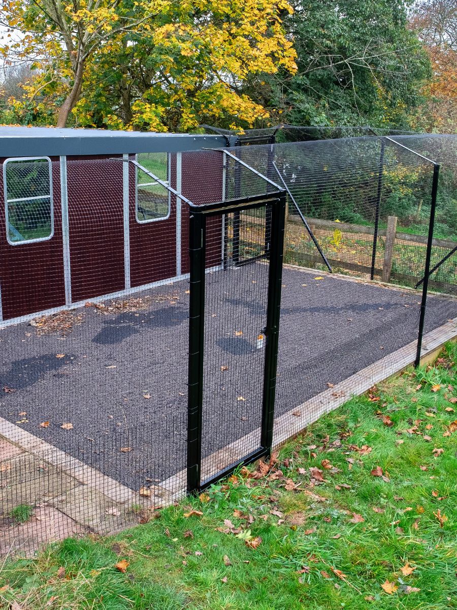 ProtectaPet® Einzelnes Katzentor für Katzengehege auf Rasen