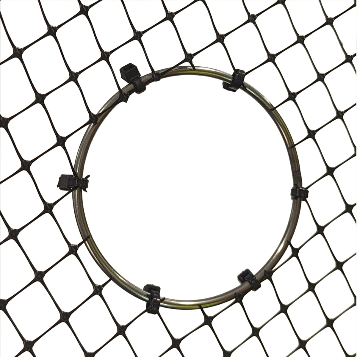 ProtectaPet Squirrel Ring to allow squirrels to pass through poly mesh