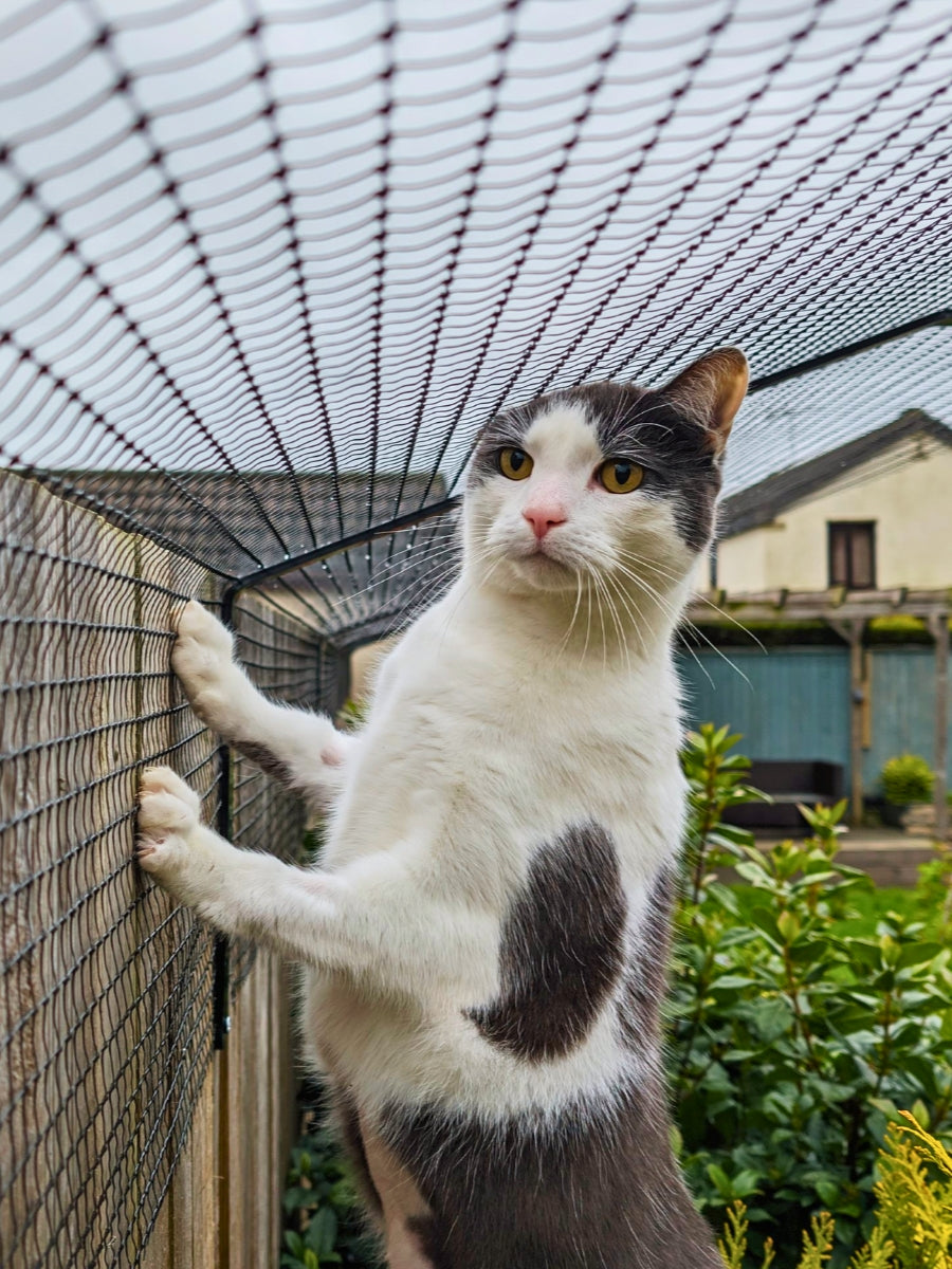 ProtectaPet® Katzenzaun-Sicherungsset