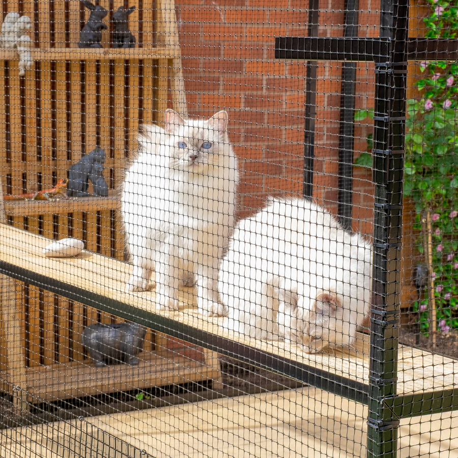 ProtectaPet® Catio Steel Framed Cat Enclosure Kit x