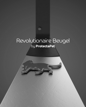 Revolutionaire Beugel