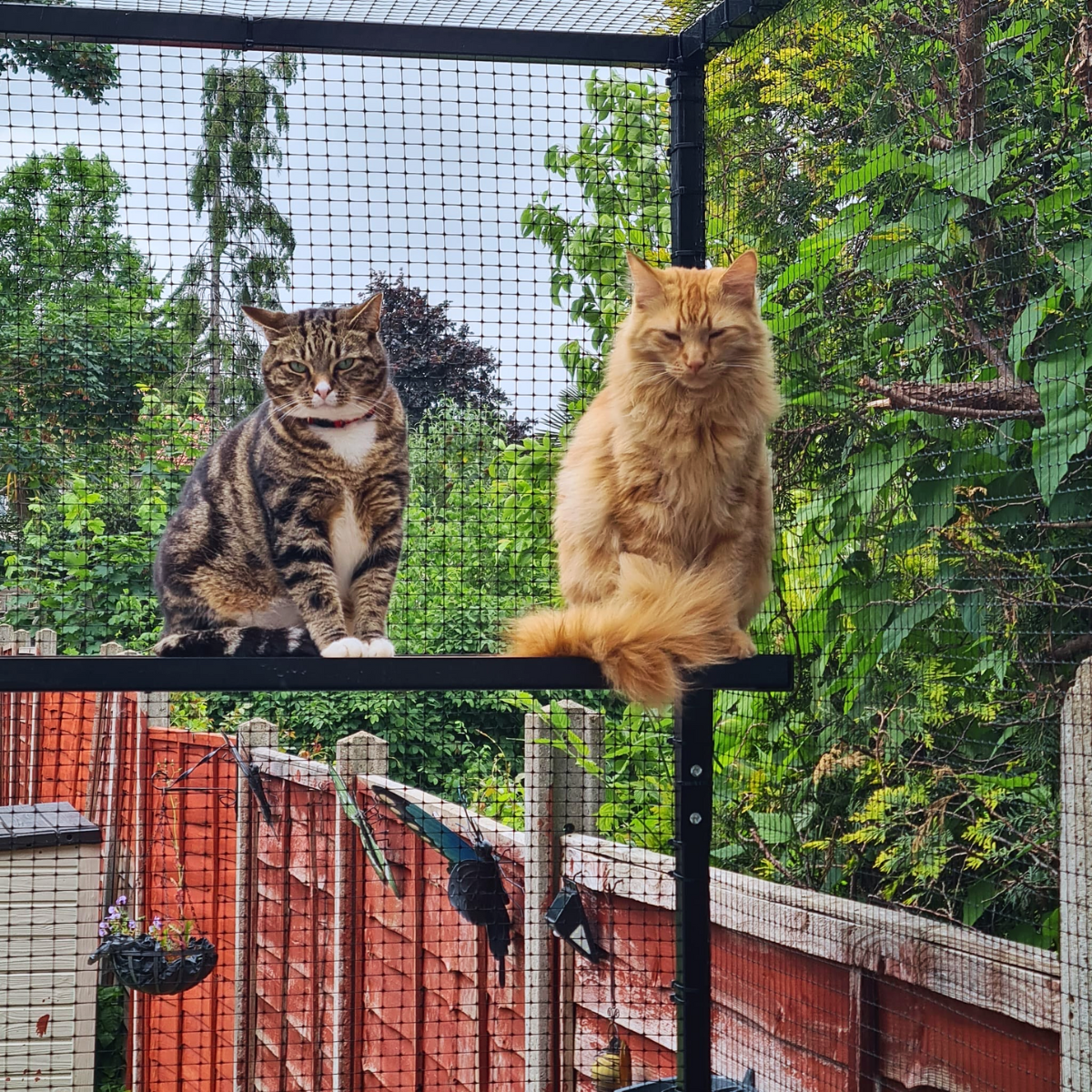 DIY Catio