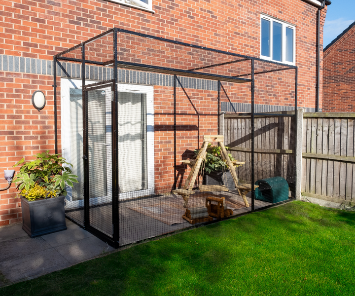 Catio With Enrichment