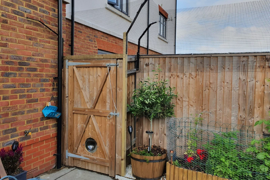 Cat proof gate best sale