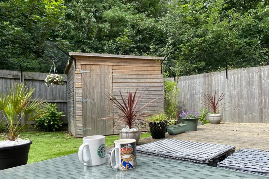 How to Cat Proof a Shed ProtectaPet