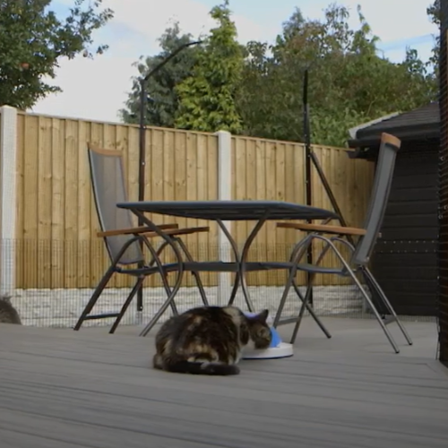 Outdoor Cat Enclosure Patio