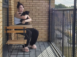 Cats enjoying the sunshine on the balcony