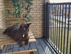 Strong Cat Balcony Mesh