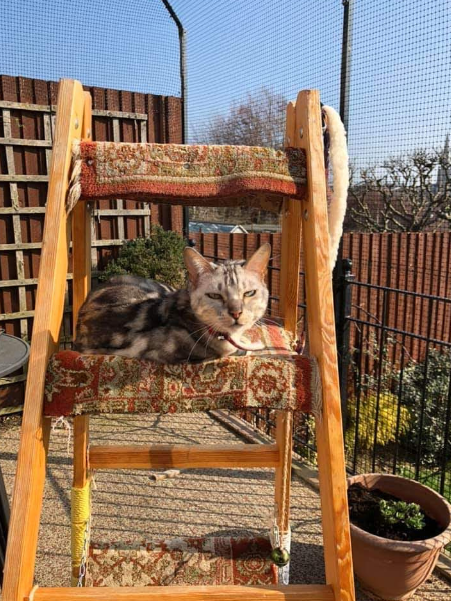 ProtectaPet® Cat Enclosure Patio Kit