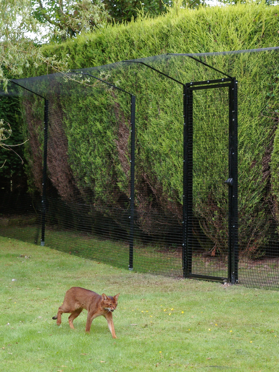 ProtectaPet® Bodenanker für Katzengehege-Pfosten auf Rasen