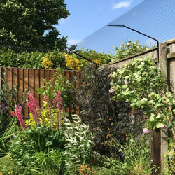 Standard Cat Fence Brackets for Existing Fences or Walls 6ft+