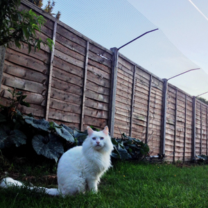 Options on Cat Proofing Your Garden ProtectaPet