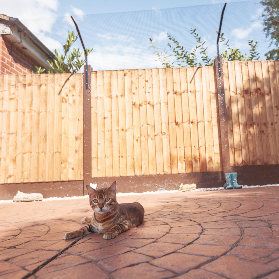 Electronic outlet cat barrier