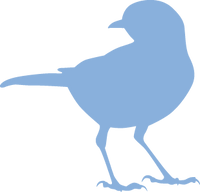 gid://shopify/MediaImage/68433063543166