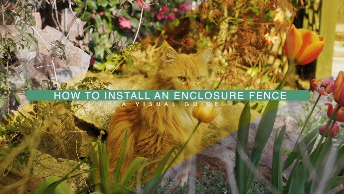 How to Build Cat Enclosures and Cat Runs by ProtectaPet