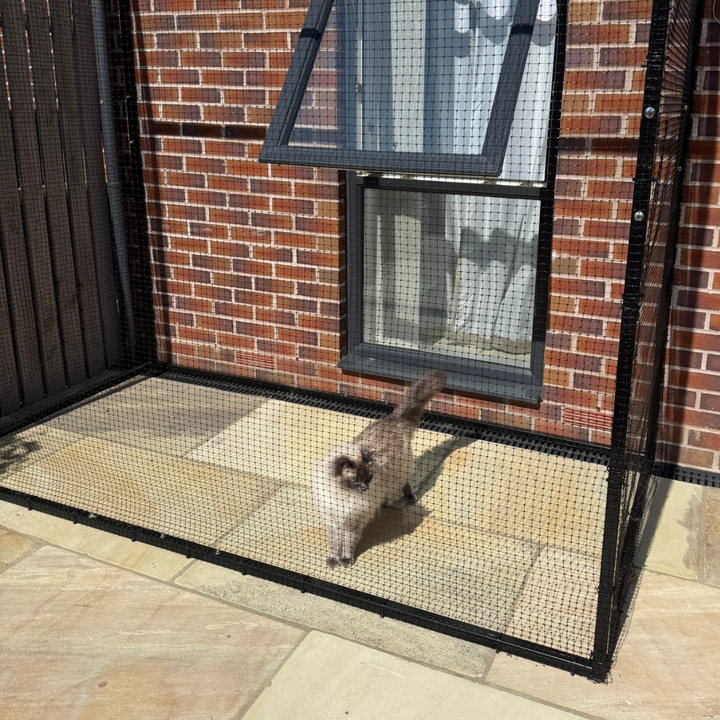 window catio porch catio