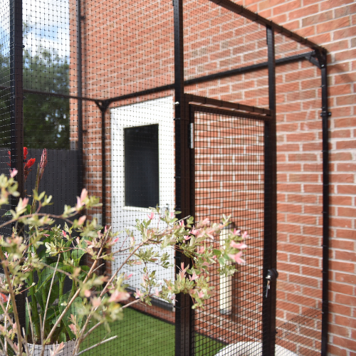 Outdoor pen for online cats