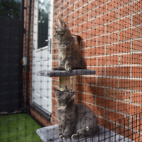 Protectapet catio best sale