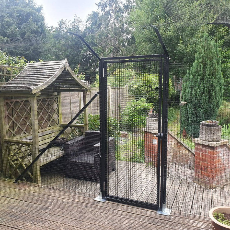 Bengal cat outdoor 2024 enclosure