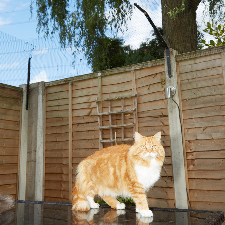 ProtectaPet Cat Fence Standard Bracket