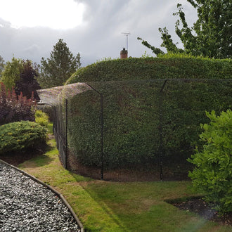 cat enclosure in garden