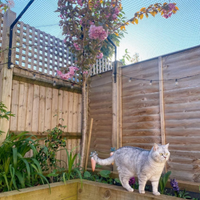 Diy cat fence barrier hotsell