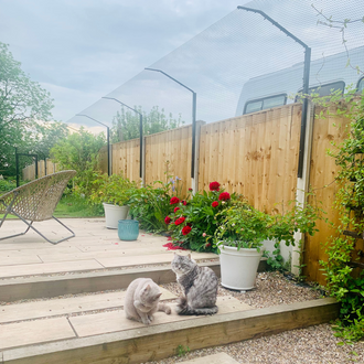 cat proof garden