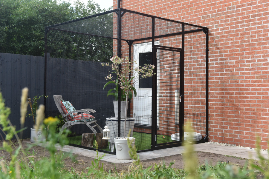 Outdoor cat enclosures connected to clearance house