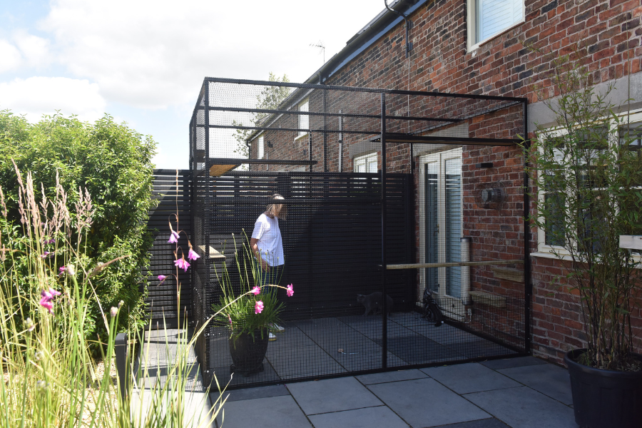 Catio attached to house hotsell