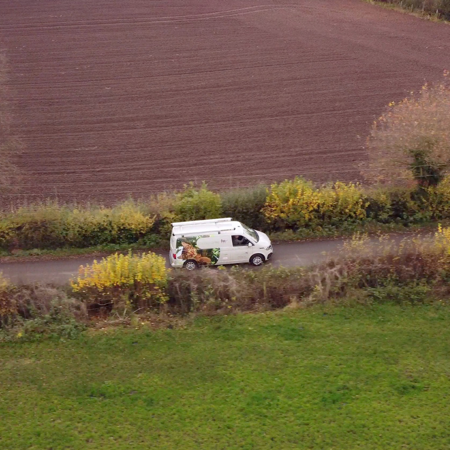 protectapet-installation