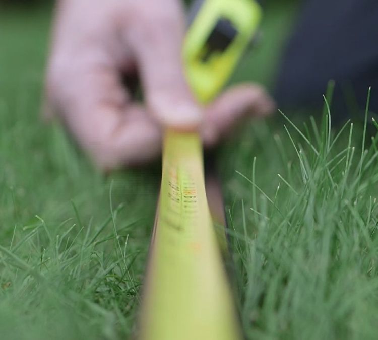 Measuring Cat Garden