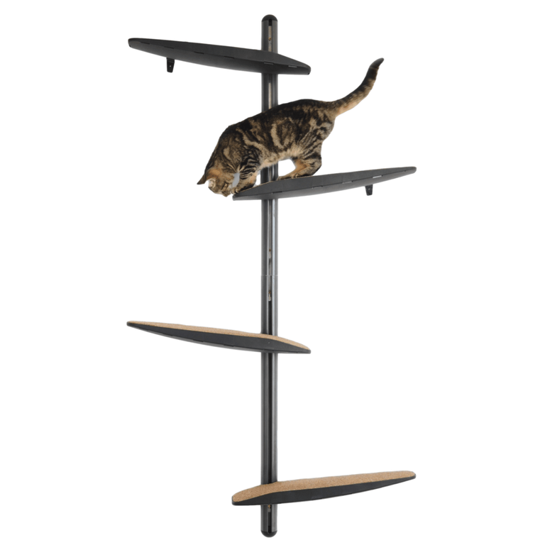 Cat Toys Cat Shelves Cat Scratchers ProtectaPet