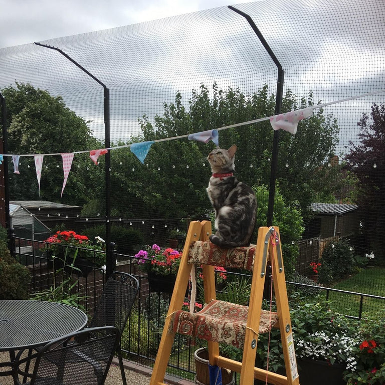 Outdoor store cat netting